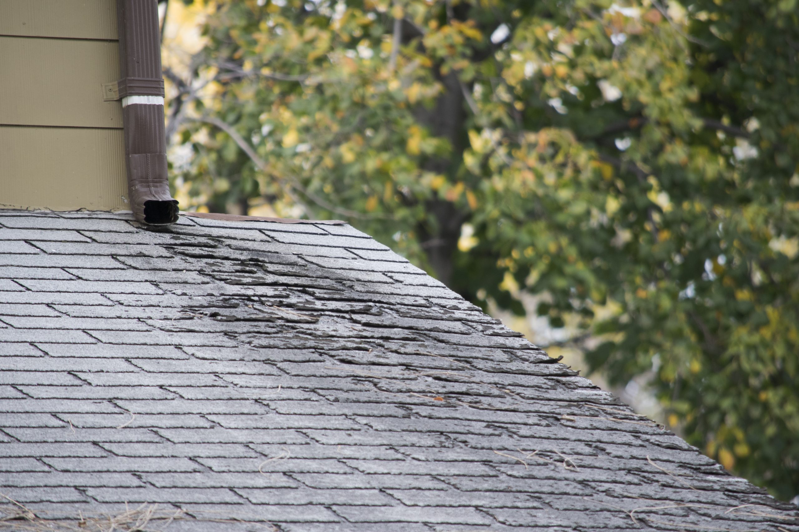 Residential Roofing